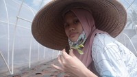 Diketahui bahwa Maisa adalah kakak kandung dari penyanyi solo Sheryl Sheinafia yang memiliki suara merdu dari pasangan Chris Tjokro dan Irta C. Tjokro.  