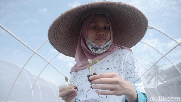 Keterbatasan Tak Menghambat Maisa Dalam Merintis Usaha