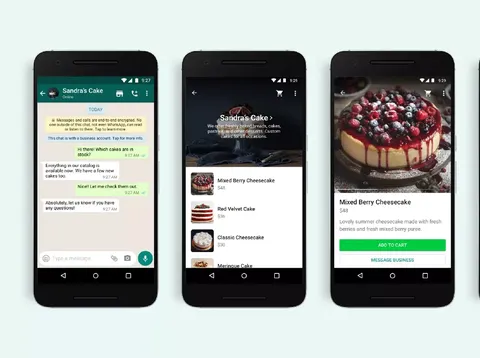 Layanan baru WhatsApp Business