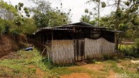 Pantauan detikcom, Jumat (23/10/2020) siang, jalur menuju lokasi kandang ayam melewati jalan kecil yang hanya bisa dilalui satu mobil. Lokasinya berada di kawasan persawahan dan sepi dari lalu-lalang.