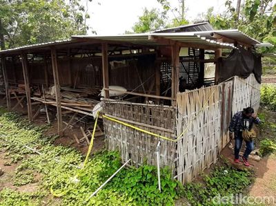 Penampakan Kandang Ayam yang Jadi Lokasi Pembunuhan Sadis Yulia