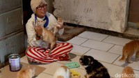 Bukan kucing Persia atau jenis kucing ras lainnya yang biasa dipelihara oleh pehobi kucing. Tapi, kucing yang dipelihara Lily, merupakan kucing liar yang dipungut di jalanan.