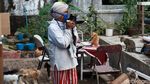 Janda Sebatang Kara Ini Hidup Bersama 90 Kucing Liar di Bandung