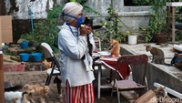 Bila ada kucing peliharaannya yang sakit ia pun kemudian membawanya ke puskesmas hewan gratis. Lily menuturkan, dengan adanya puluhan kucing di rumahnya, ia menjadi ada teman untuk ngobrol. Bahkan kucing-kucing miliknya jinak jika diberi perintah oleh Lily, seperti disuruh keluar rumah, makan atau dilarang bertengkar.