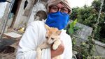Janda Sebatang Kara Ini Hidup Bersama 90 Kucing Liar di Bandung