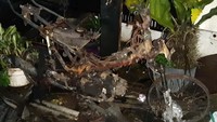 Tampak sepeda motor hangus terbakar. (dok. BPBD Tangerang Banten)