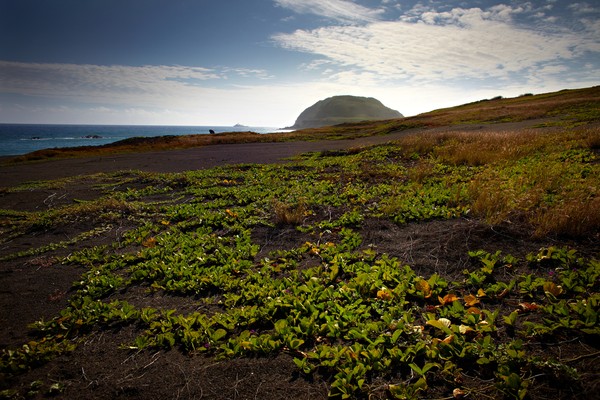 Pulau ini juga terkenal akan kenampakan alamnya yakni Gunung Suribachi. Gunung ini disebut-sebut sebagai gunung api paling berbahaya di dunia. (Foto: Getty Images/iStockphoto/jriedy) Pulau ini juga terkenal akan kenampakan alamnya yakni Gunung Suribachi. Gunung ini disebut-sebut sebagai gunung api paling berbahaya di dunia. (Foto: Getty Images/iStockphoto/jriedy)