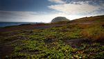 Potret Iwo Jima, Pulau Horor Saksi Perang Jepang-AS