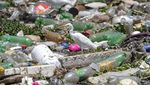 Begini Potret Sungai Paling Tercemar di Brasil