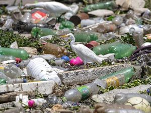 Ambisi Membersihkan Sungai Paling Tercemar di Brasil