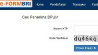 Soal E-Form BRI UMKM: Cara Akses, Daftar BPUM, Link Bantuan