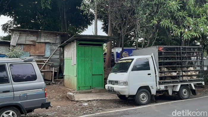 viral nenek dipukuli