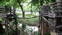 Rimbunnya pepohonan di taman tersebut juga membuat warga yang beraktivitas di taman  itu tetap merasa sejuk.