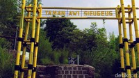 Selain itu ada juga taman kuning yang jadi ikon dari Kebun Raya Kuningan. Di taman kuning ini terdapat aneka bunga berwarna kuning yang telah ditata rapi. (Bima Bagaskara/detikcom)