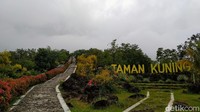 Kebun Raya Kuningan berdiri di lahan seluas 156 hektar dan berada di ketinggian sekitar 870 mdpl. Kebun raya itu dikelola langsung oleh Pemkab Kuningan dan dibina Lembaga Ilmu Pengetahuan Indonesia (LIPI). (Bima Bagaskara/detikcom)
