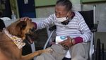 Kuda hingga Kambing Jadi Teman Para Lansia di Brasil Saat Pandemi