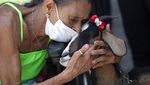 Kuda hingga Kambing Jadi Teman Para Lansia di Brasil Saat Pandemi
