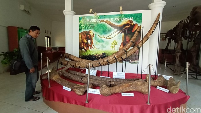 Museum Kretek