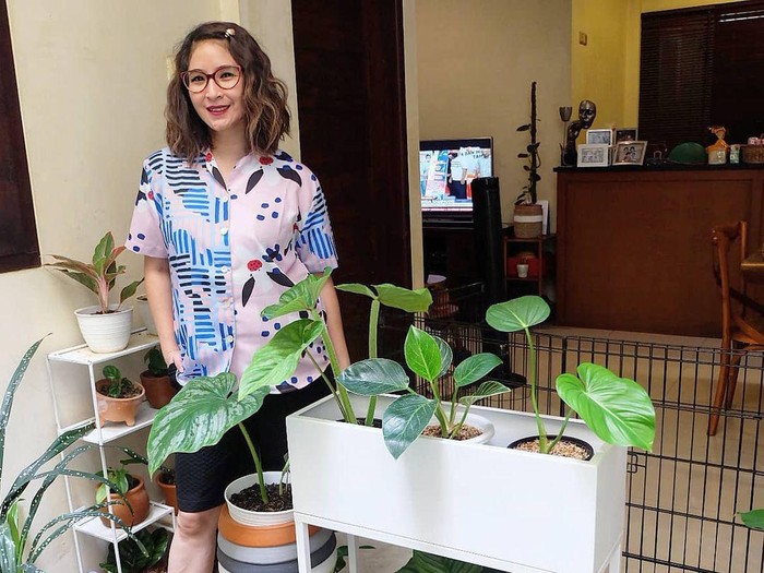 Novita Angie Novita Angie Pelihara Tanaman Hias