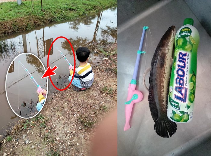 Pakai Pancingan Mainan, Bocah Ini Berhasil Tangkap Ikan Besar