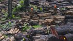 Kayu Perhutani Ciamis Diminati Pasar Eropa dan Asia Lho