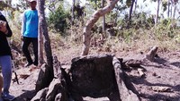 23 kubur batu itu ditemukan oleh komunitas pelestari cagar budaya. Bahkan oleh mereka, beberapa titik diberi pagar pengaman agar kubur batu tidak lagi dirusak seperti di Wilayah hutan Nglawungan, Desa Tunjungan, Kecamatan Tunjungan beberapa waktu lalu. (Febrian Chandra/detikcom)