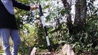 Namun, beberapa titik temuan yang ada itu, di antaranya sudah dalam keadaan rusak akibat penjarahan harta benda yang ikut dikuburkan. Manusia Kalang memiliki ritual penguburan yang unik. (Febrian Chandra/detikcom)