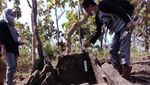 Penampakan Kuburan Batu Manusia Kalang yang Ditemukan di Blora