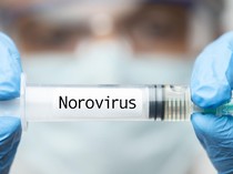 Video: Ratusan Penumpang di Kapal Pesiar Kena Wabah Norovirus, Alami Muntah-Diare