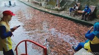 Dirasa kurang cocok, kemudian Sunga Gejigan dijadikan tempat pelihara ikan. 