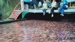 Sungai Gejigan di Klaten, Awalnya Kotor Kini Jadi Kolam Ikan