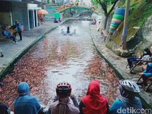 Sungai Kotor Klaten Disulap Jadi Kolam Ikan Cantik