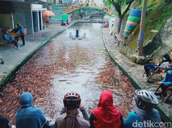 Sungai Gejigan di Klaten, Awalnya Kotor Kini Jadi Kolam Ikan