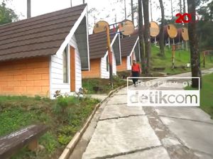 Libur Panjang, Wisata Menginap di Tengah Hutan