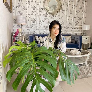 Hobi Tanaman Hias, Titi Kamal Berbagi Tips Merawat Lidah Mertua hingga Caladium Hobi Tanaman Hias, Titi Kamal Berbagi Tips Merawat Lidah Mertua hingga Caladium