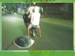 Viral Atraksi Angkat Ban Depan Motor di Jalanan Sulsel, Polisi Turun Tangan