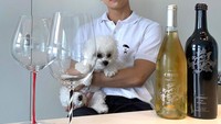Tampak awet muda, ini pose Changmin ketika tengah bersantai dengan anjing peliharaannya. Lengkap ditemani dengan champagne dingin. Foto: Instagram @changmin88