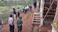Tujuh pukulan itu seluruhnya dilakukan di kandang ayam yang merupakan bisnis kerja sama Yulia dengan Eko. Mereka sebelumnya telah bersepakat bertemu di kandang ayam yang lokasinya 500 meter dari rumah Eko, Desa Puhgogor, Bendosari, Sukoharjo, Selasa (20/10).