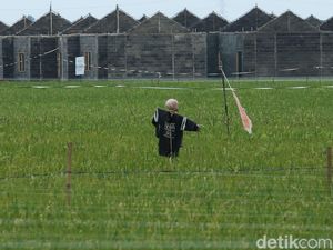 Video: Ara Minta Pengembang Tak Pakai Lahan Sawah untuk Perumahan