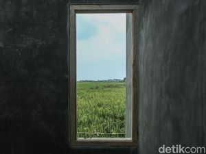 RI Darurat Lahan Pangan, Ini Buktinya