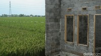 Bisnis cluster pun terbilang lebih menggiurkan dibanding bercocok tanam.