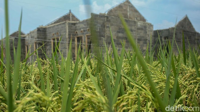 Maraknya Lahan Sawah 'Ditanami' Perumahan Alih fungsi lahan sawah menjadi perumahan kian marak terjadi. Kini, sejumlah lahan mulai terancam.