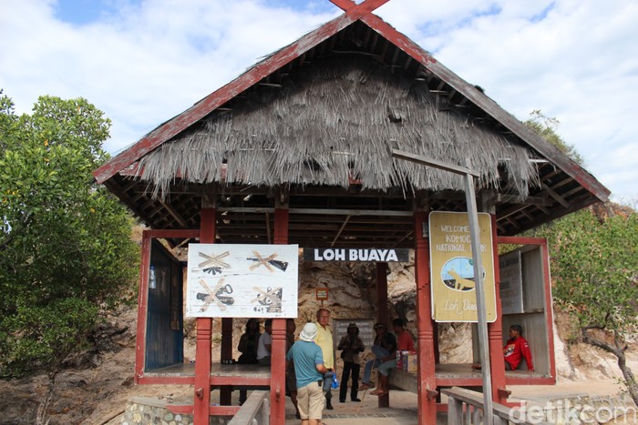 Pulau Rinca Taman Nasional Komodo tengah ditutup untuk pembangunan sarana dan prasarana wisata. Begini rumah Komodo sebelum pembangunan dimulai.