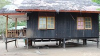 Di Loh Buaya sering dilihat komodo tengah ngadem di bawah rumah papan yang kadang ditempati para ranger atau jagawana.