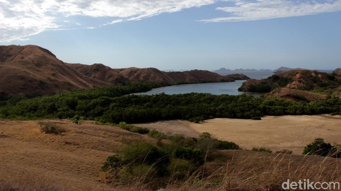 Pulau Rinca Taman Nasional Komodo tengah ditutup untuk pembangunan sarana dan prasarana wisata. Begini rumah Komodo sebelum pembangunan dimulai.