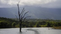 Selama perjalanan ke sana pengunjung akan bisa menikmati pemandangan pegunungan Meratus dengan hutan hujan tropis yang masih terjaga keasriannya.   