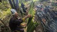 Warga desa Paau merupakan suku Dayak Kayu Tangi yang sangat menghargai alam yaitu hutan di sekeliling mereka sehingga secara turun temurun setiap tahun mereka menggelar ritual Seserahan Hutan.  
