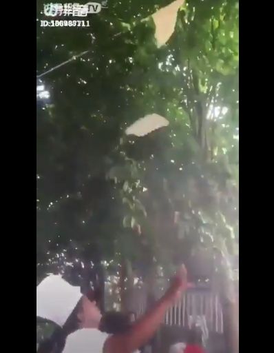 Bikin Ngakak! Atraksi Roti Canai Ini Berakhir Nyangkut di Kipas Angin dan Pohon