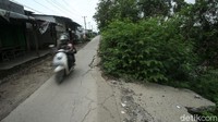 Tanaman liar pun mulai bermunculan di lokasi amblasnya jalan tersebut.
