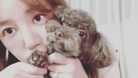 Juga kegiatan sehari-hari seperti syuting vlog hingga bermain bersama hewan peliharaan. (Foto: dok. Instagram @y1003_grace) 